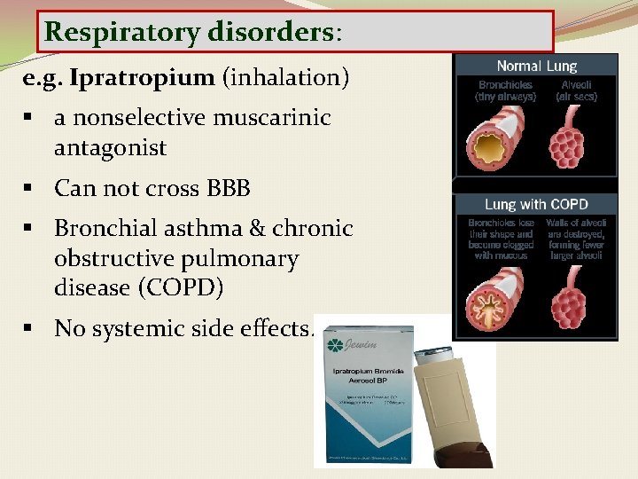 Respiratory disorders: e. g. Ipratropium (inhalation) § a nonselective muscarinic antagonist § Can not
