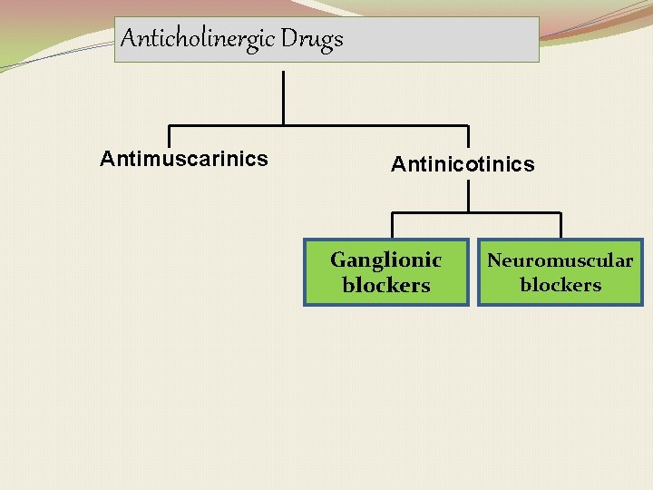Anticholinergic Drugs Antimuscarinics Antinicotinics Ganglionic blockers Neuromuscular blockers 