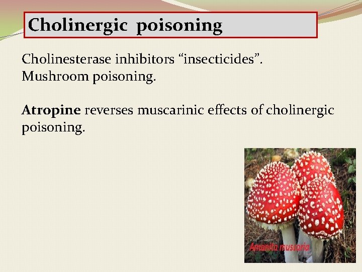 Cholinergic poisoning Cholinesterase inhibitors “insecticides”. Mushroom poisoning. Atropine reverses muscarinic effects of cholinergic poisoning.