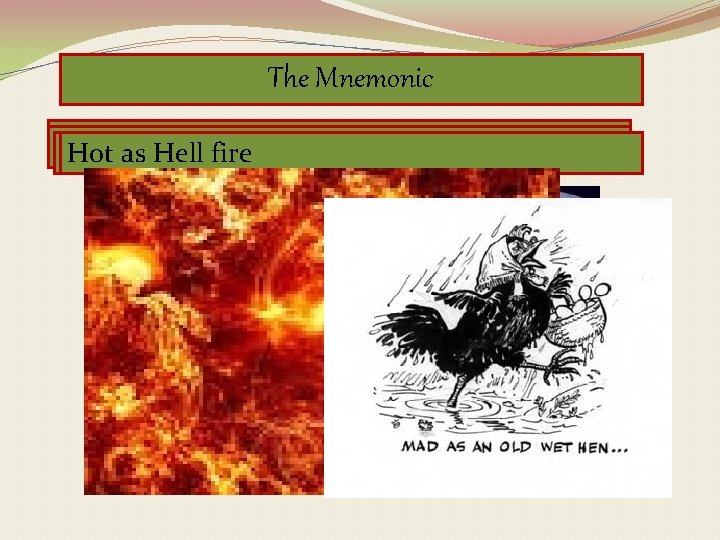 The Mnemonic Red as abone Mad as a. Hell hen Dry Full Blind Hot