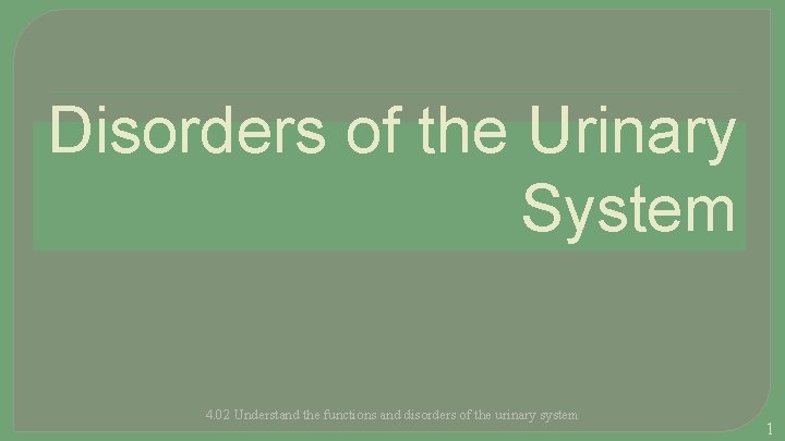 Disorders of the Urinary System 4. 02 Understand the functions and disorders of the