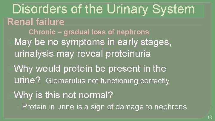 Disorders of the Urinary System Renal failure Chronic – gradual loss of nephrons ⦿May