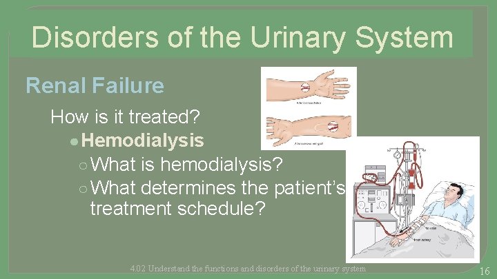 Disorders of the Urinary System Renal Failure How is it treated? ● Hemodialysis ○