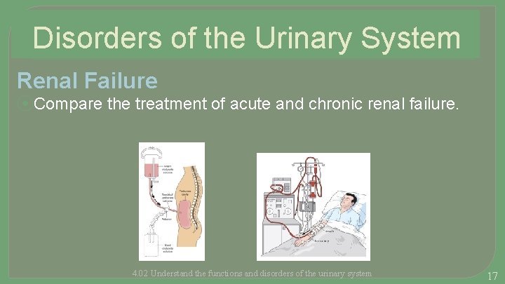 Disorders of the Urinary System Renal Failure ⦿Compare the treatment of acute and chronic