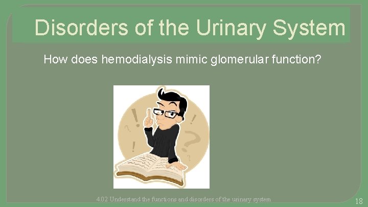 Disorders of the Urinary System How does hemodialysis mimic glomerular function? 4. 02 Understand