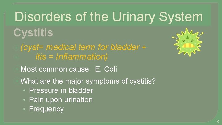 Disorders of the Urinary System Cystitis ⦿ (cyst= ⦿ medical term for bladder +