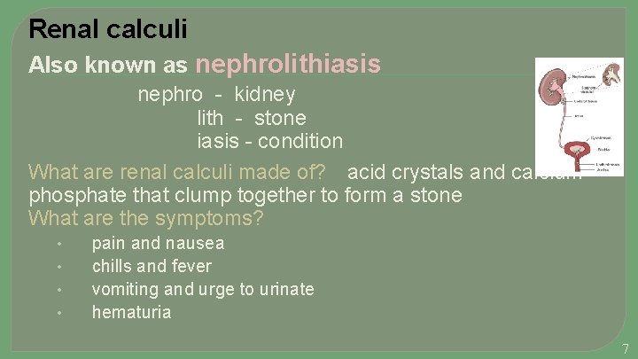 Renal calculi Also known as nephrolithiasis nephro - kidney lith - stone iasis -