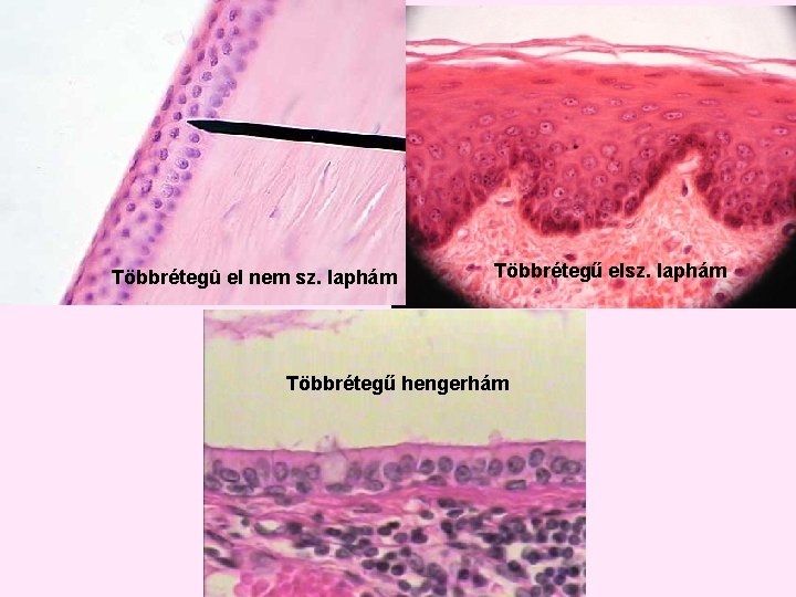 Többrétegû el nem sz. laphám Többrétegű elsz. laphám Többrétegű hengerhám Többrétegû el nem sz. laphám Többrétegű elsz. laphám Többrétegű hengerhám