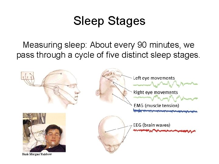 Sleep Stages Measuring sleep: About every 90 minutes, we pass through a cycle of