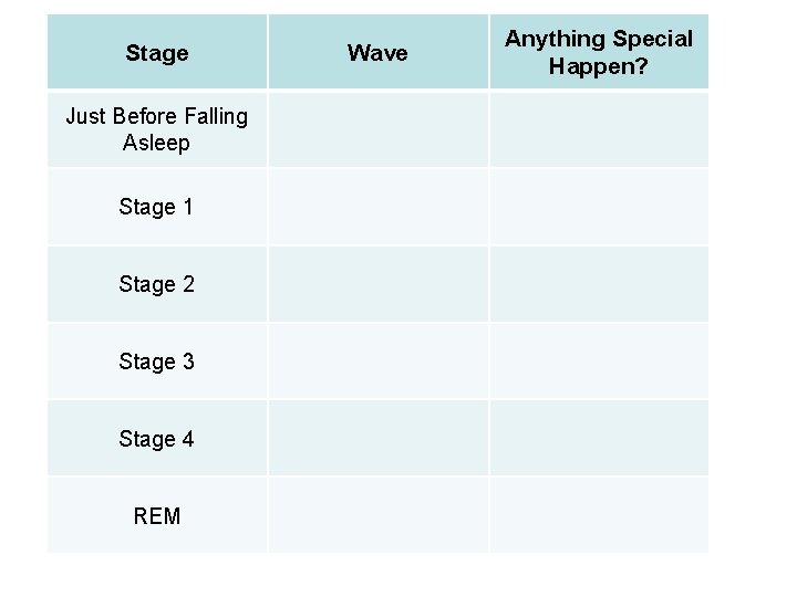 Stage Just Before Falling Asleep Stage 1 Stage 2 Stage 3 Stage 4 REM