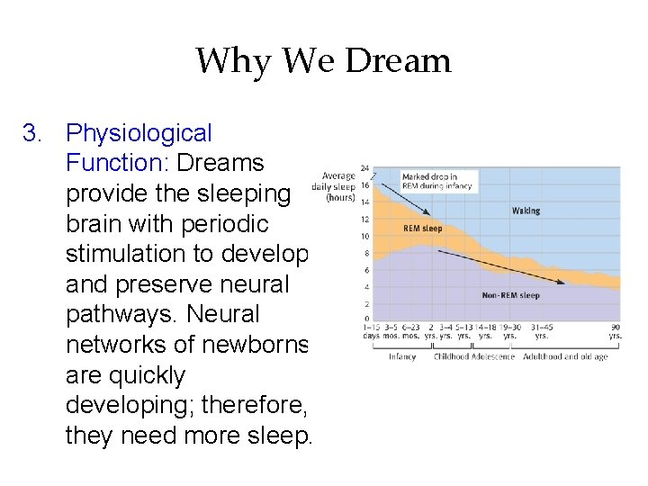 Why We Dream 3. Physiological Function: Dreams provide the sleeping brain with periodic stimulation