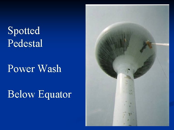 Spotted Pedestal Power Wash Below Equator 