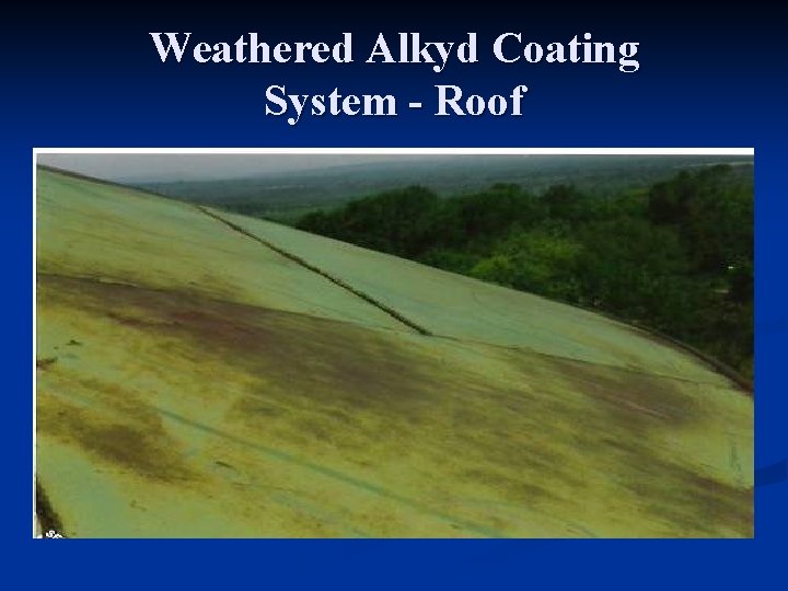 Weathered Alkyd Coating System - Roof 