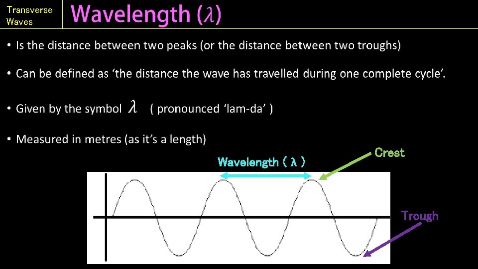 Transverse Waves • Wavelength ( λ ) Crest Trough 