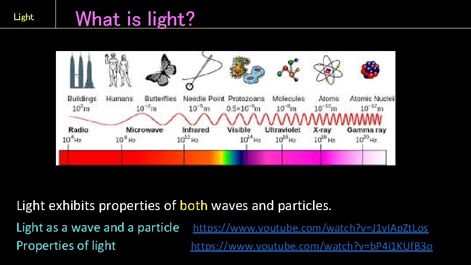 Light What is light? Light exhibits properties of both waves and particles. Light as