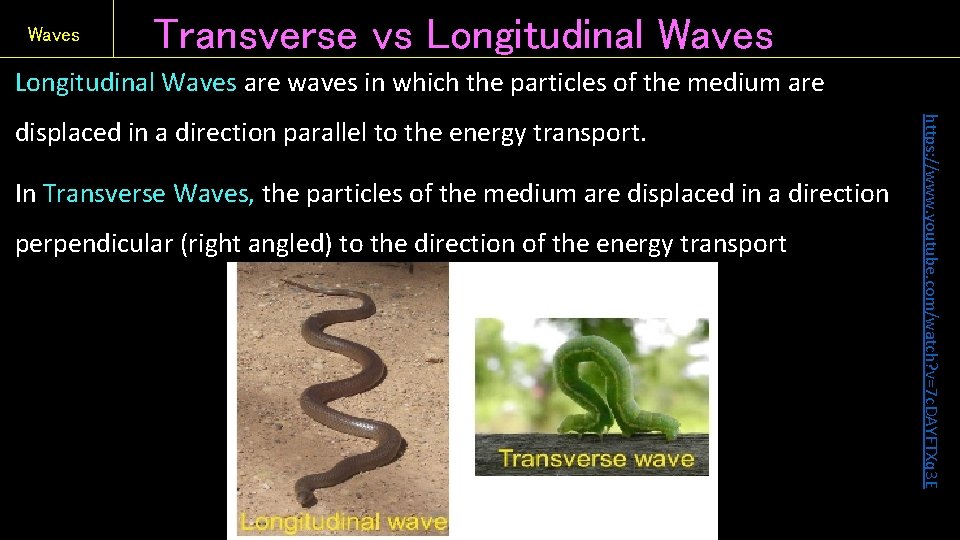 Waves Transverse vs Longitudinal Waves are waves in which the particles of the medium