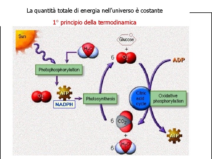 La quantità totale di energia nell’universo è costante 1° principio della termodinamica 