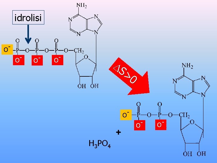 idrolisi OO- O- O- S >0 O- H 3 PO 4 + O- O-