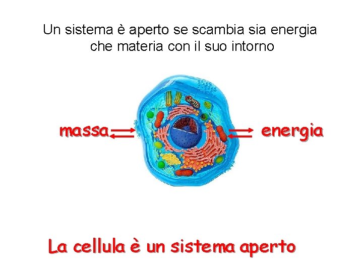 Un sistema è aperto se scambia sia energia che materia con il suo intorno