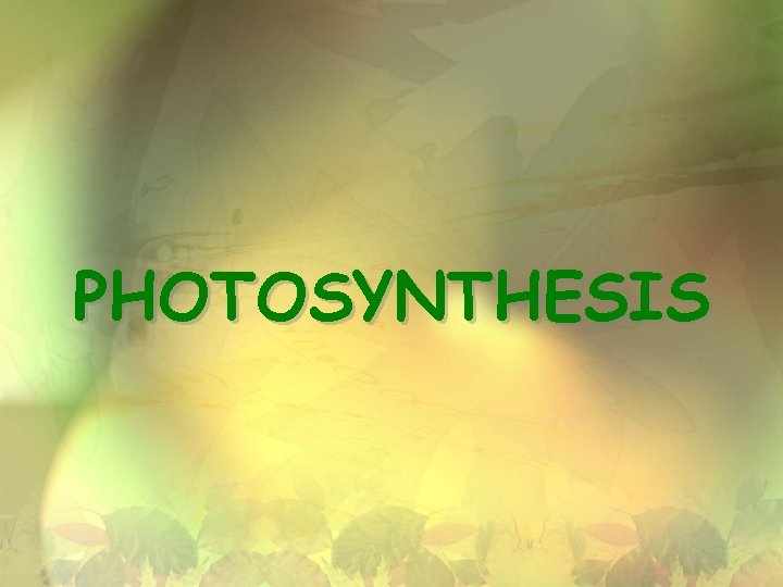 PHOTOSYNTHESIS 