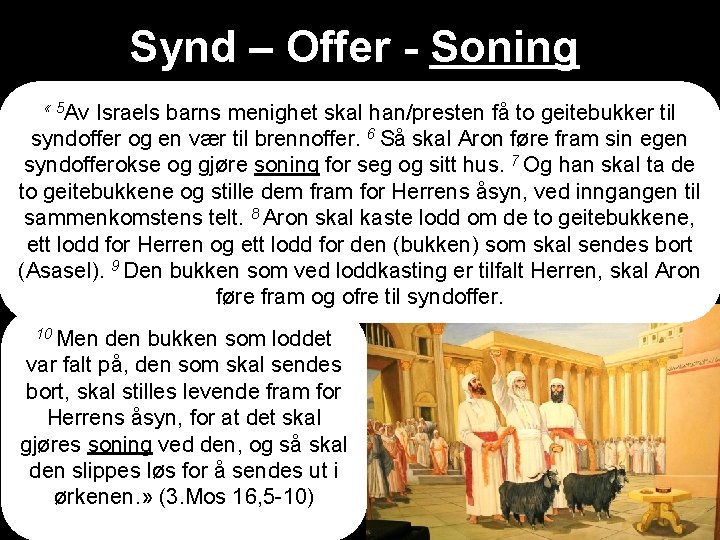 Synd – Offer - Soning « 5 Av Israels barns menighet skal han/presten få