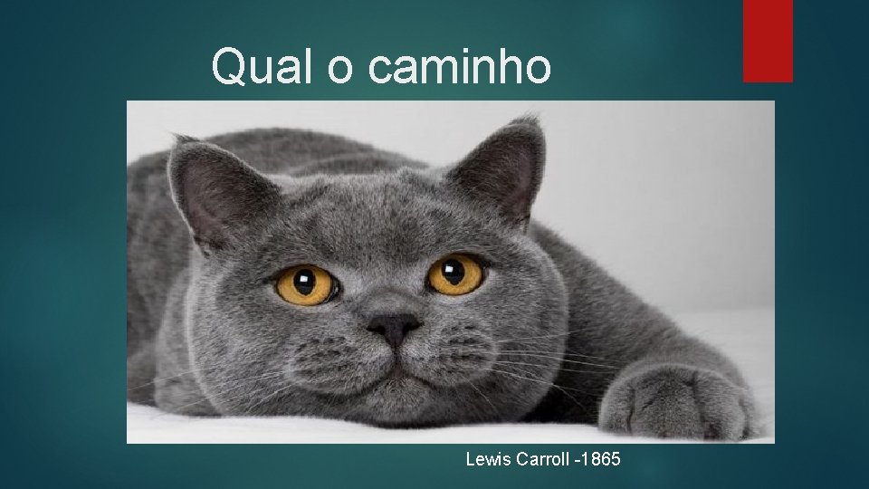 Qual o caminho Lewis Carroll -1865 