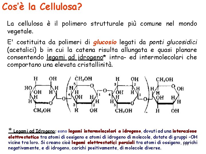 Cos’è la Cellulosa? La cellulosa è il polimero strutturale più comune nel mondo vegetale.