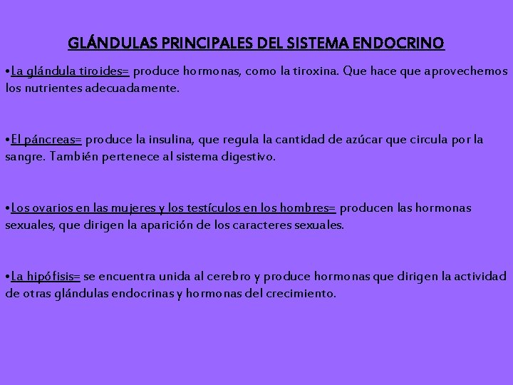 GLÁNDULAS PRINCIPALES DEL SISTEMA ENDOCRINO • La glándula tiroides= produce hormonas, como la tiroxina.