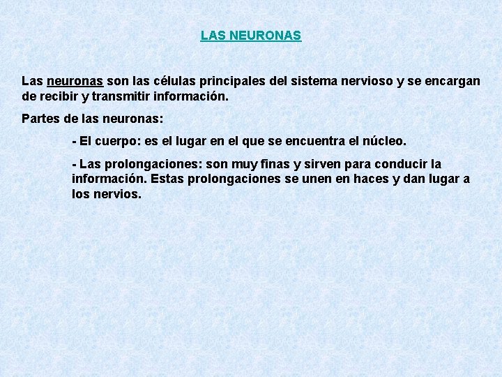 LAS NEURONAS Las neuronas son las células principales del sistema nervioso y se encargan