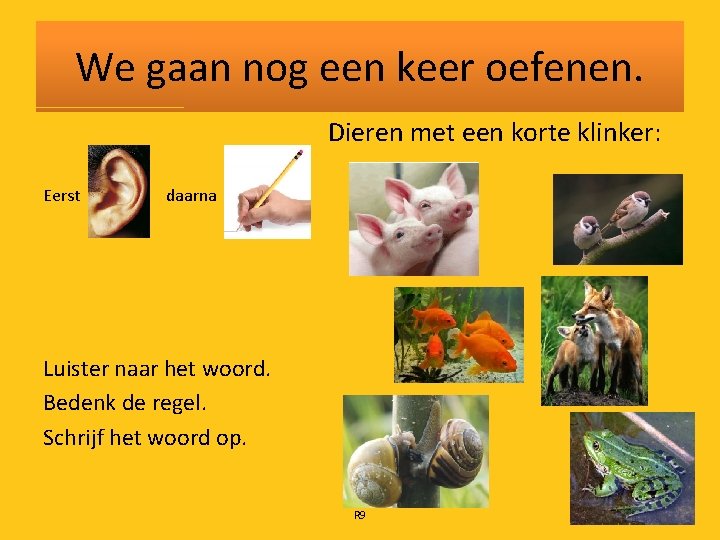 We gaan nog een keer oefenen. Dieren met een korte klinker: Eerst daarna Luister