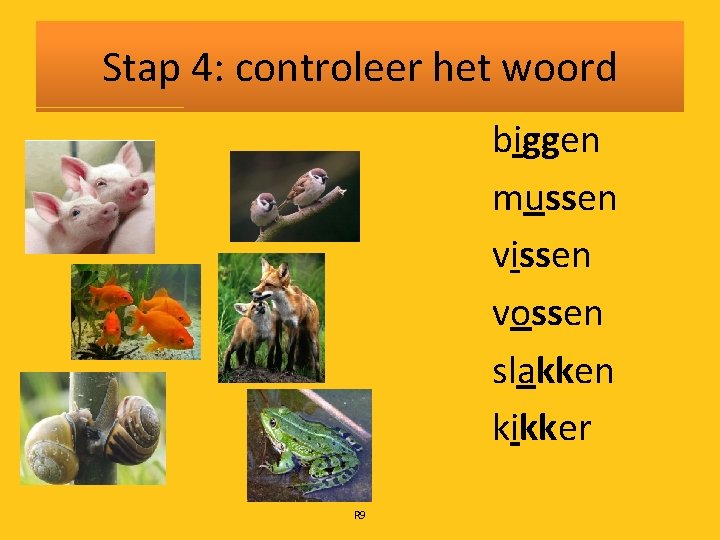 Stap 4: controleer het woord biggen mussen vissen vossen slakken kikker R 9 