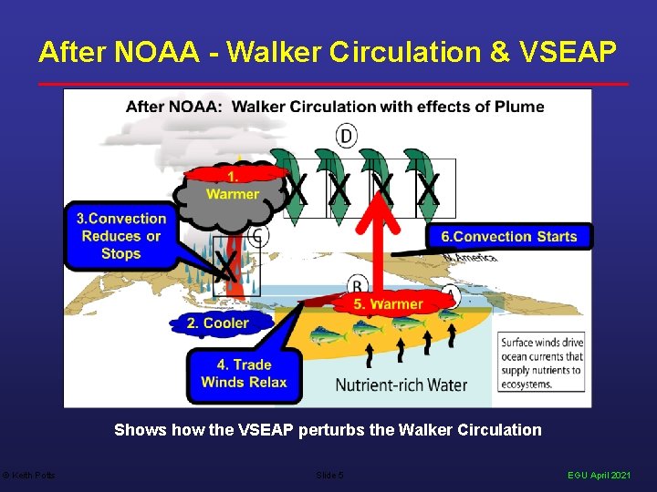 After NOAA - Walker Circulation & VSEAP Shows how the VSEAP perturbs the Walker