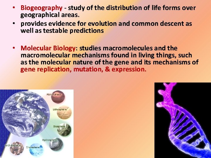  • Biogeography - study of the distribution of life forms over geographical areas.