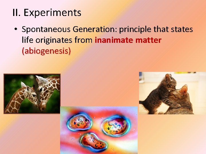 II. Experiments • Spontaneous Generation: principle that states life originates from inanimate matter (abiogenesis)