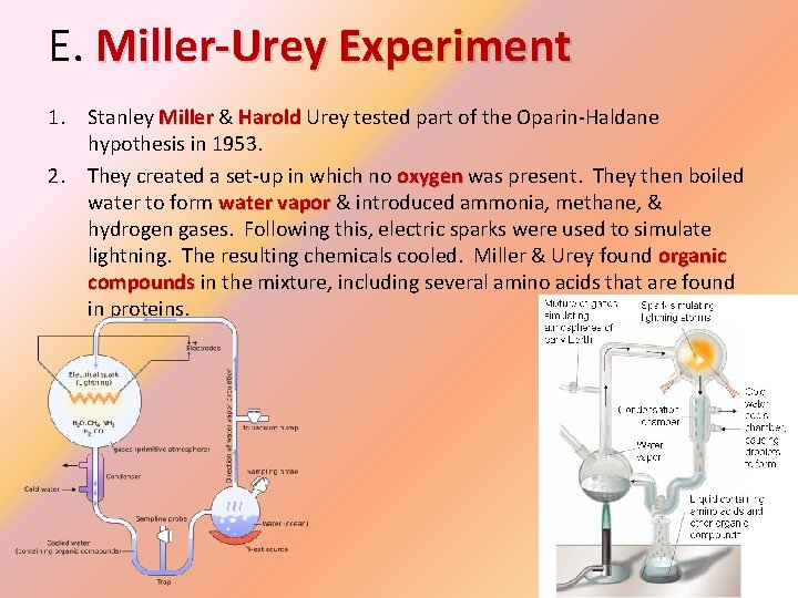 E. Miller-Urey Experiment 1. Stanley Miller & Harold Urey tested part of the Oparin-Haldane