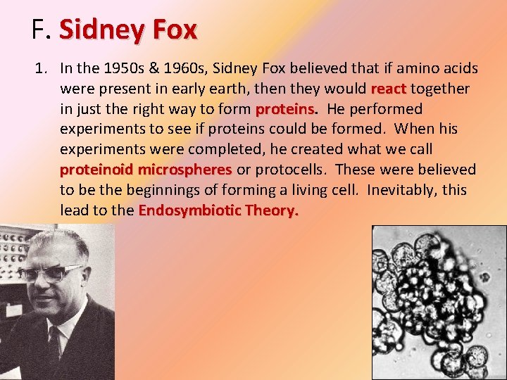 F. Sidney Fox 1. In the 1950 s & 1960 s, Sidney Fox believed