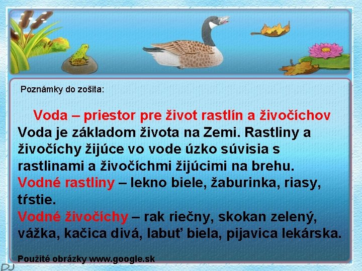 Poznámky do zošita: Voda – priestor pre život rastlín a živočíchov Voda je základom