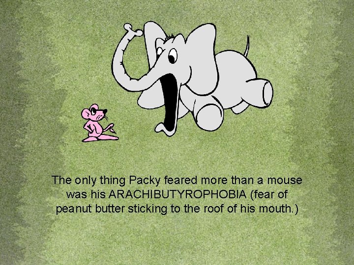 The only thing Packy feared more than a mouse was his ARACHIBUTYROPHOBIA (fear of