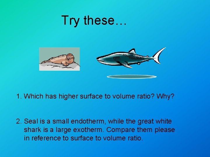 Try these… 1. Which has higher surface to volume ratio? Why? 2. Seal is