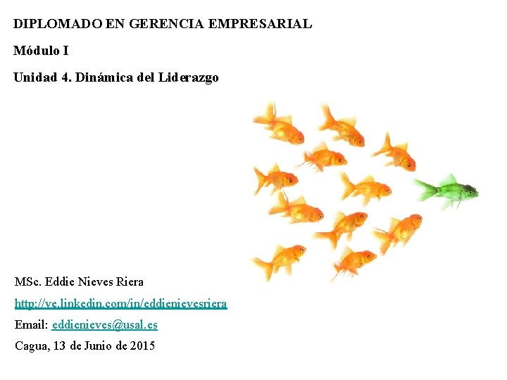 DIPLOMADO EN GERENCIA EMPRESARIAL Módulo I Unidad 4. Dinámica del Liderazgo MSc. Eddie Nieves