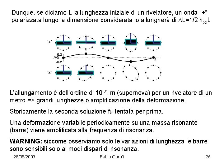 Dunque, se diciamo L la lunghezza iniziale di un rivelatore, un onda “+” polarizzata