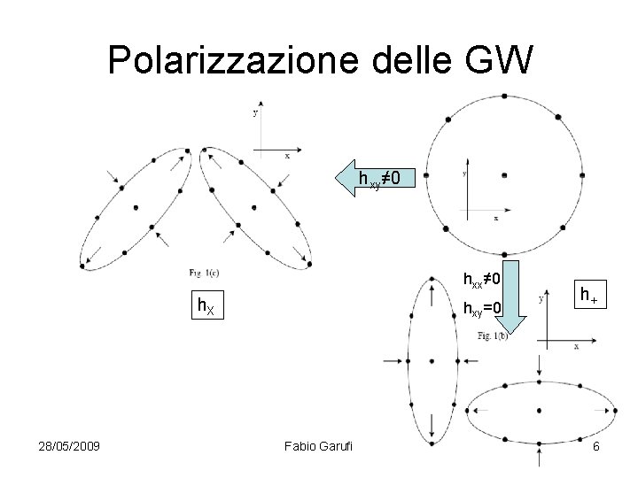 Polarizzazione delle GW hxy≠ 0 hxx≠ 0 h. X 28/05/2009 hxy=0 Fabio Garufi h+