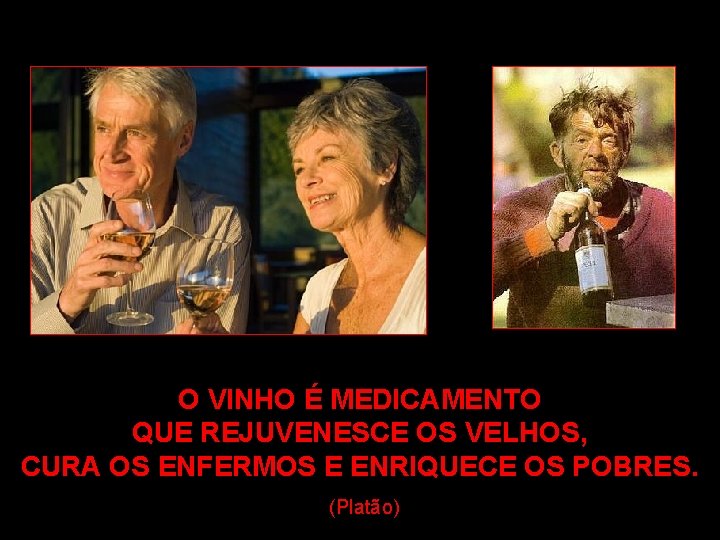 O VINHO É MEDICAMENTO QUE REJUVENESCE OS VELHOS, CURA OS ENFERMOS E ENRIQUECE OS
