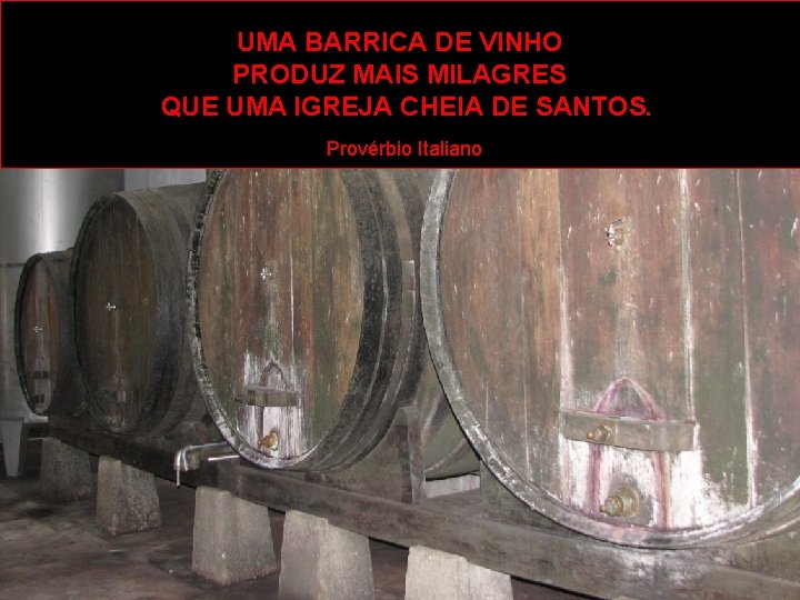 UMA BARRICA DE VINHO PRODUZ MAIS MILAGRES QUE UMA IGREJA CHEIA DE SANTOS. Provérbio
