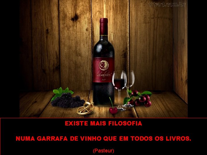 EXISTE MAIS FILOSOFIA NUMA GARRAFA DE VINHO QUE EM TODOS OS LIVROS. (Pasteur) 