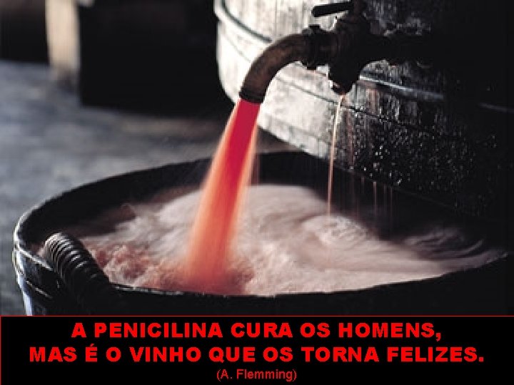 A PENICILINA CURA OS HOMENS, MAS É O VINHO QUE OS TORNA FELIZES. (A.