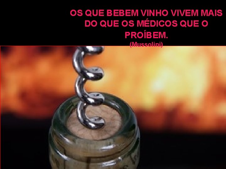 OS QUE BEBEM VINHO VIVEM MAIS DO QUE OS MÉDICOS QUE O PROÍBEM. (Mussolini)