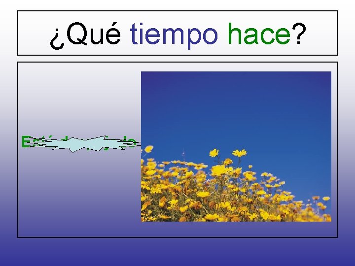 ¿Qué tiempo hace? Está despejado 