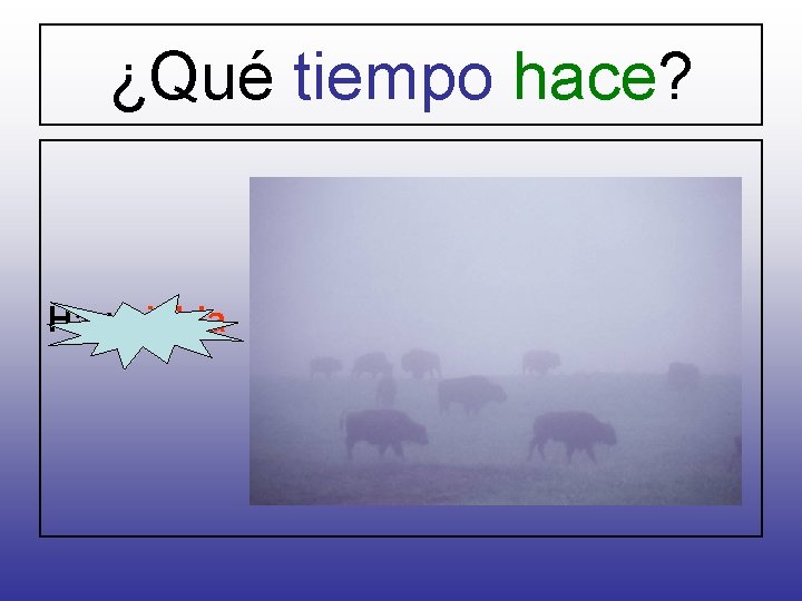 ¿Qué tiempo hace? Hay niebla 