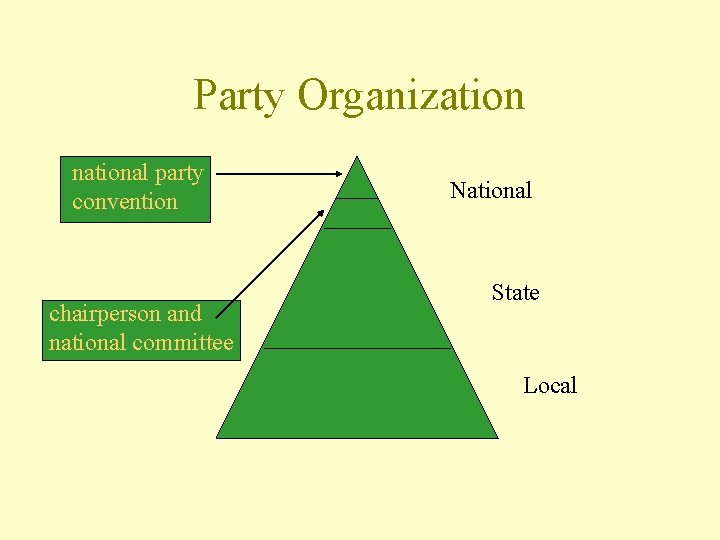 Party Organization national party convention chairperson and national committee National State Local 